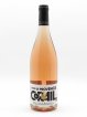 Côtes de Provence Corail  2020 - Lot de 1 Bouteille
