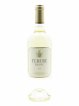 Tertre Blanc  2020 - Lot of 1 Bottle