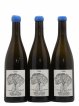 Muscadet-Sèvre-et-Maine Gaia Jérôme Bretaudeau - Domaine de Bellevue (no reserve) 2020 - Lot of 3 Bottles