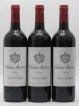 Château Montrose 2ème Grand Cru Classé  2016 - Lot of 6 Bottles