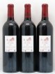 Les Forts de Latour Second Vin  2011 - Lot de 3 Bouteilles