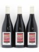 Côtes du Jura Poulsard En Billat Labet (Domaine)  2018 - Lot of 3 Bottles