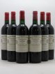Château Cheval Blanc 1er Grand Cru Classé A  1996 - Lot de 6 Bouteilles