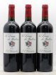 La Dame de Montrose Second Vin  2004 - Lot de 6 Bouteilles