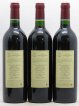 Carruades de Lafite Rothschild Second vin  2000 - Lot of 12 Bottles