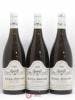 Puligny-Montrachet Les Levrons Chavy Chouet 1992 - Lot of 6 Bottles
