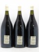 AOP Vin de Savoie Chautagne Gamay Sans Soufre Jacques Maillet Vignes du Seigneur 2011 - Lot de 3 Magnums