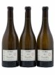 Chablis 1er Cru Butteaux Pattes Loup (Domaine) (no reserve) 2017 - Lot of 3 Bottles