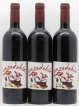 Vin de France Cazodoble Combes de Cazo 2012 - Lot of 3 Bottles