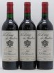 La Dame de Montrose Second Vin  1988 - Lot de 12 Bouteilles