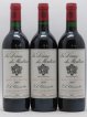 La Dame de Montrose Second Vin  1988 - Lot de 12 Bouteilles