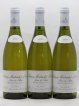 Puligny-Montrachet 1er Cru Sous le Puits Leroy SA  2009 - Lot of 3 Bottles