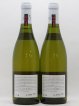Puligny-Montrachet 1er Cru Sous le Puits Leroy SA  2009 - Lot of 2 Bottles