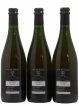Vin de France Les Fesses Vignoble de l'Arbre Blanc  2018 - Lot de 3 Bouteilles