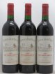 Château Jean Faure Grand Cru Classé  1989 - Lot of 12 Bottles