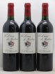 La Dame de Montrose Second Vin  2001 - Lot of 12 Bottles