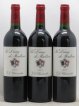 La Dame de Montrose Second Vin  2001 - Lot de 12 Bouteilles