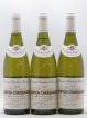 Corton-Charlemagne Bouchard Père & Fils  2005 - Lot of 6 Bottles