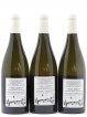 Côtes du Jura Fleur de Savagnin En Chalasse Labet (Domaine)  2018 - Lot of 3 Bottles