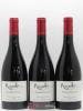 IGP Côtes Catalanes (VDP des Côtes Catalanes) Nagello Domaine Michaël Paetzold (no reserve) 2015 - Lot of 6 Bottles