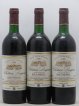 Château Lieujean  1988 - Lot of 12 Bottles