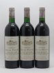 Château Grand Pontet Grand Cru Classé (no reserve) 1989 - Lot of 12 Bottles
