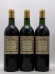 Canon-Fronsac Primo Palatum (no reserve) 1996 - Lot of 12 Bottles