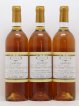 Clos Haut-Peyraguey 1er Grand Cru Classé  1996 - Lot of 12 Bottles
