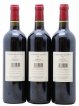 Carruades de Lafite Rothschild Second vin  2006 - Lot de 6 Bouteilles