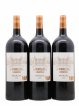 Les Tourelles de Longueville Second Vin (sans prix de réserve) 2016 - Lot de 6 Magnums