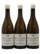 Puligny-Montrachet 1er Cru Clos de la Mouchère Henri Boillot (Domaine)  2019 - Lot of 3 Bottles