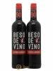 Espagne Beso de Vino Old Vine Garnacha 2014 - Lot de 2 Bouteilles