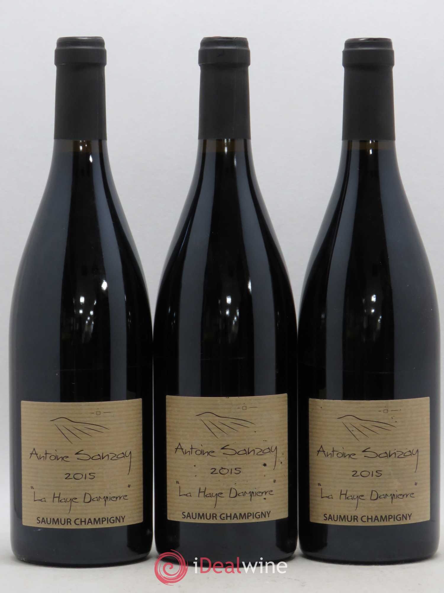 Saumur-Champigny La Haye Dampierre Antoine Sanzay 2015 - Lot de 3 bouteilles - 0