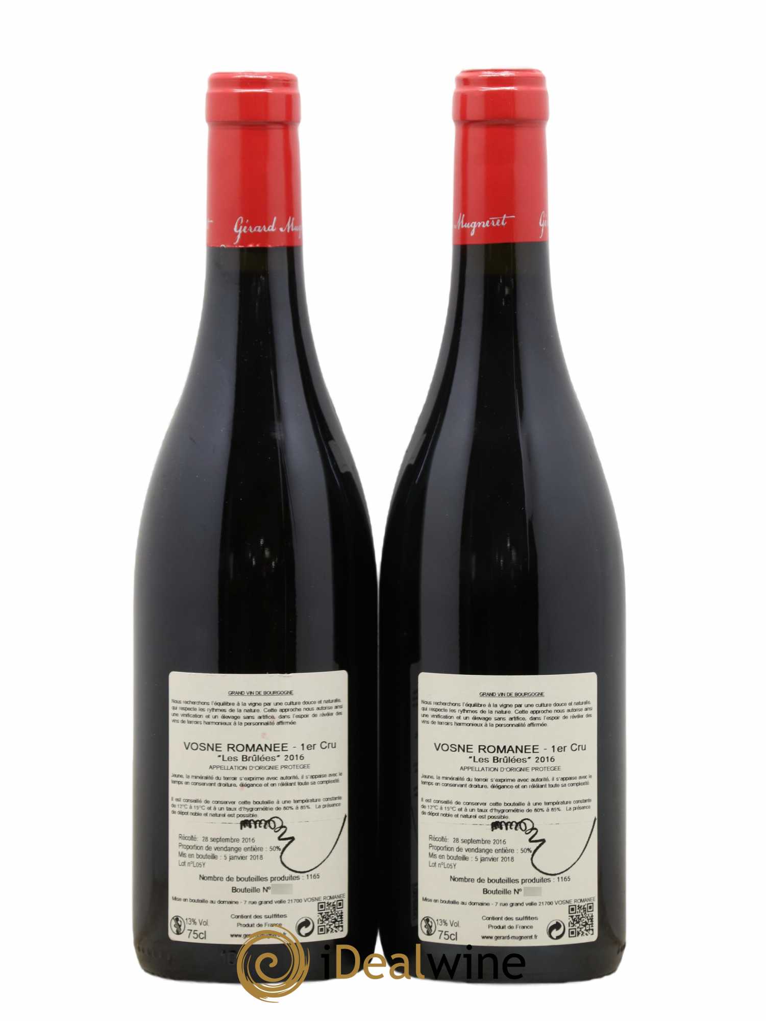 Vosne-Romanée 1er Cru Les Brulées Gérard Mugneret 2016 - Lot de 2 bouteilles - 1