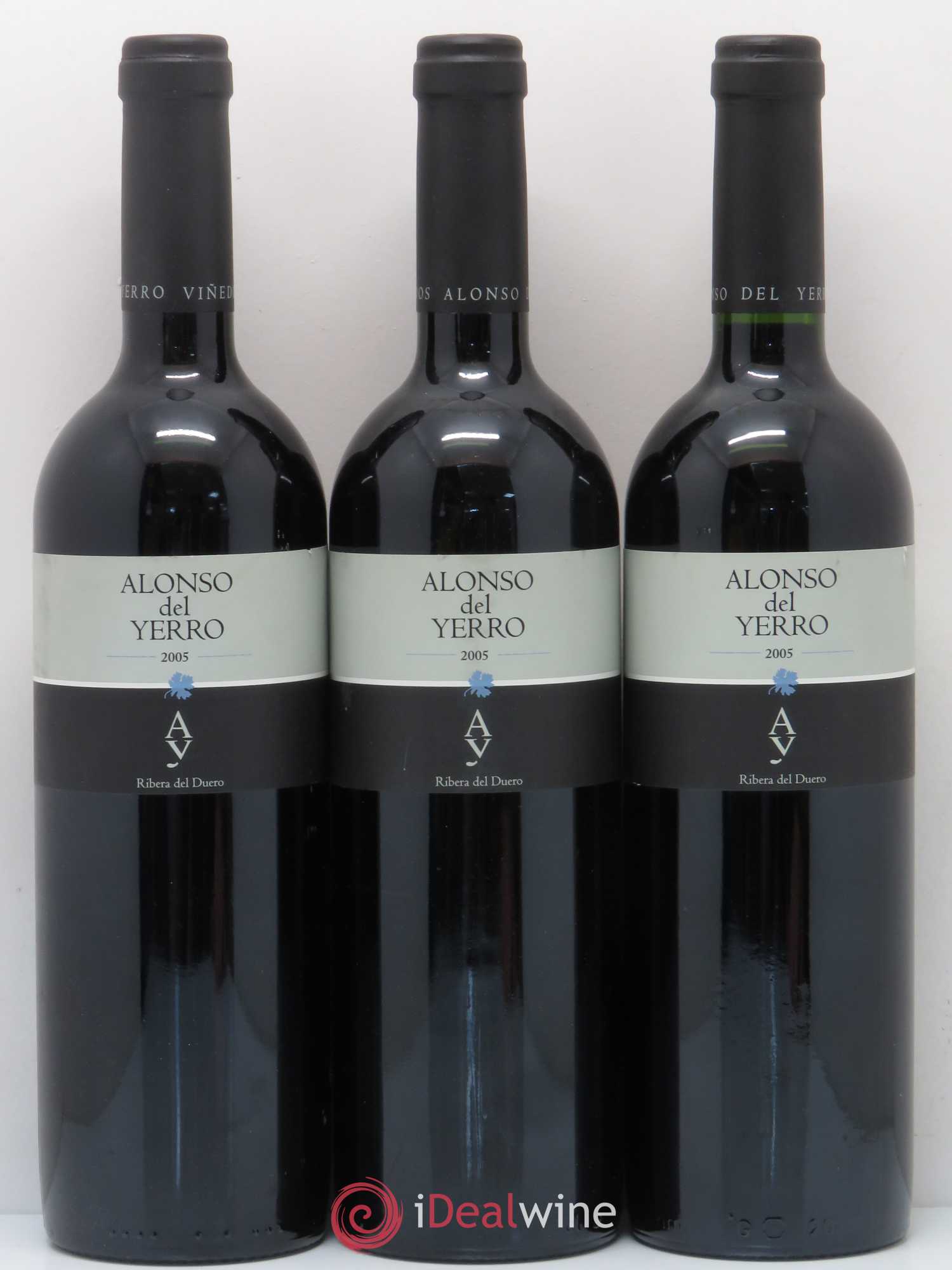 Ribera Del Duero DO Alonso del Yerro 2005 - Lot de 6 bouteilles - 2