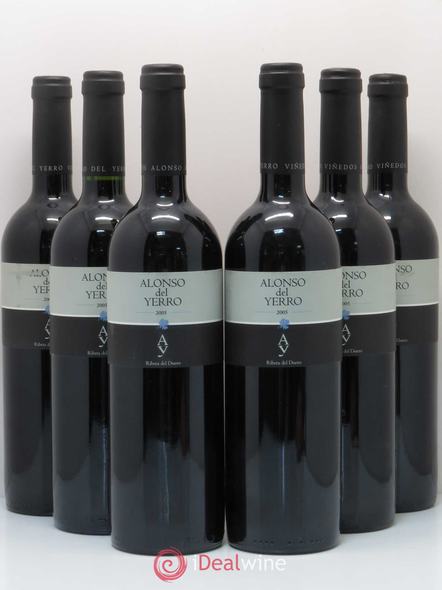 Ribera Del Duero DO Alonso del Yerro 2005 - Lot de 6 bouteilles - 0