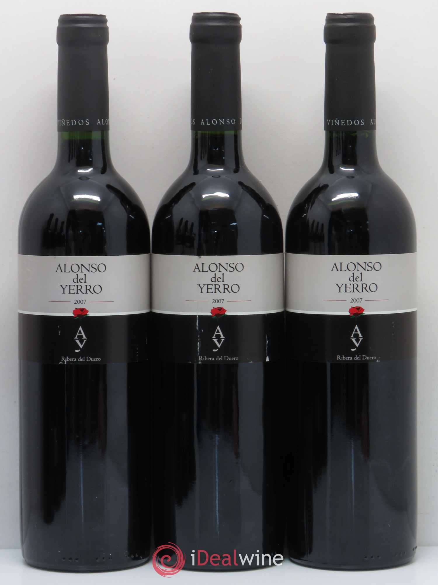 Ribera Del Duero DO Alonso del Yerro 2007 - Lot de 6 bouteilles - 1