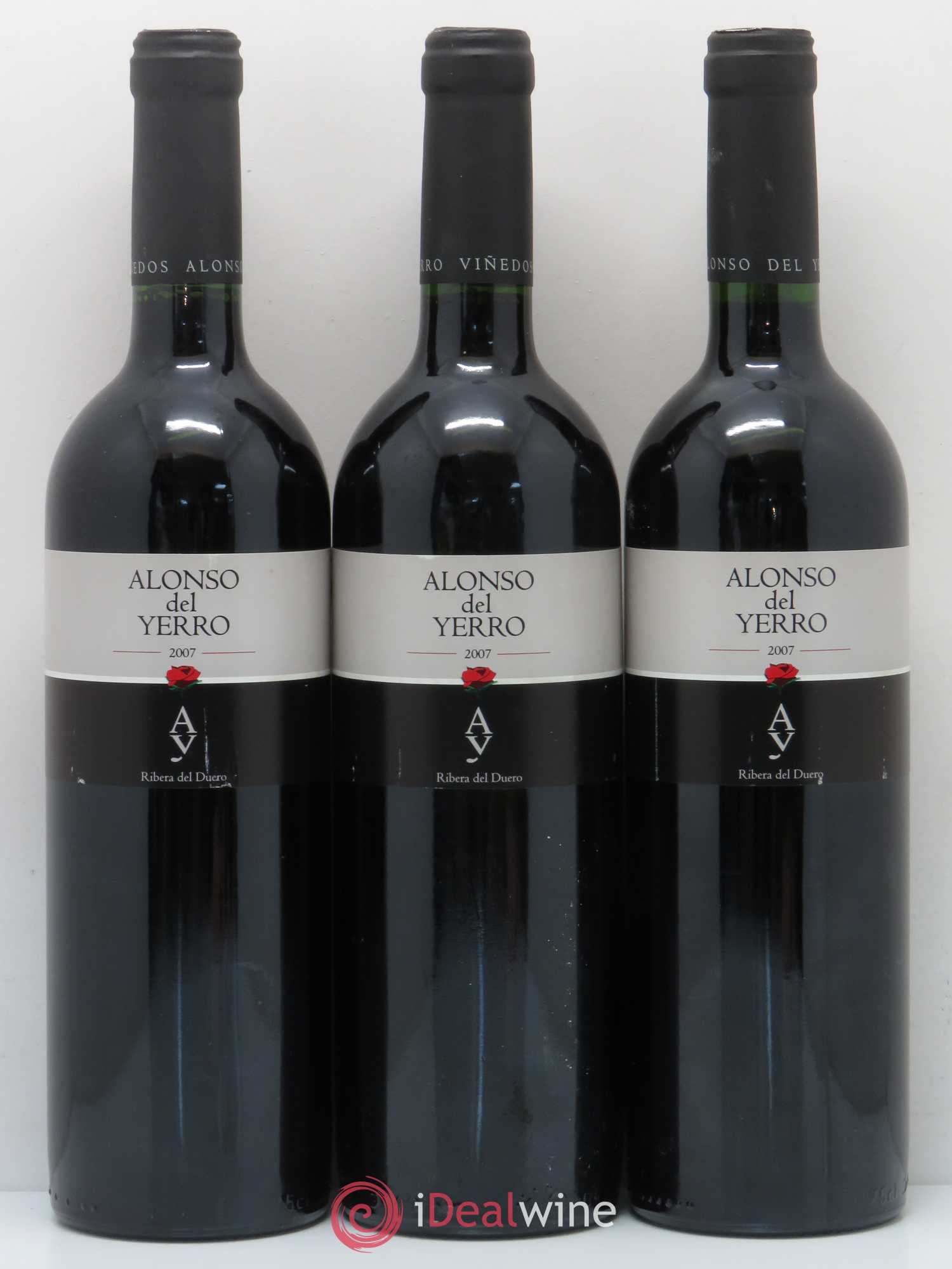 Ribera Del Duero DO Alonso del Yerro 2007 - Lot de 6 bouteilles - 2