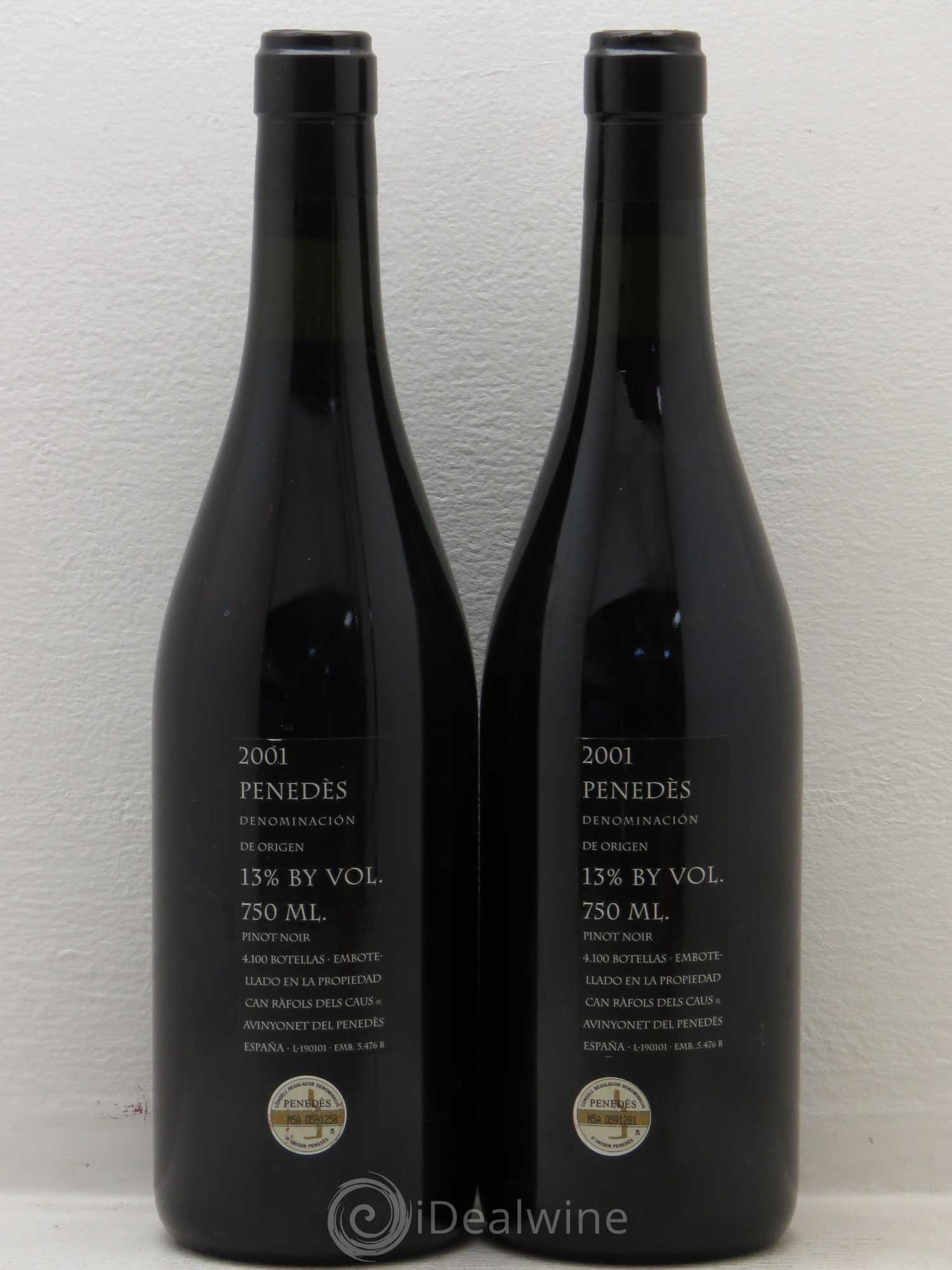 Penedes Can Rafols Dels Caus Ad Fines 2001 - Posten von 2 Flaschen - 1