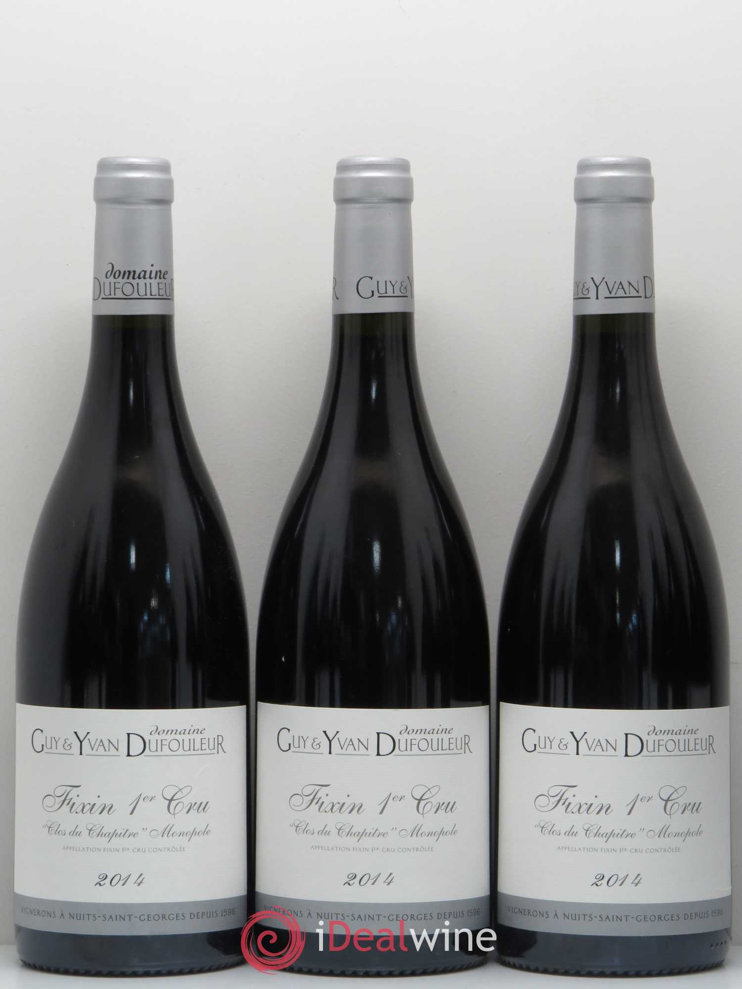 Fixin 1er Cru Clos du Chapitre Domaine Dufouleur 2014 - Posten von 12 Flaschen - 4