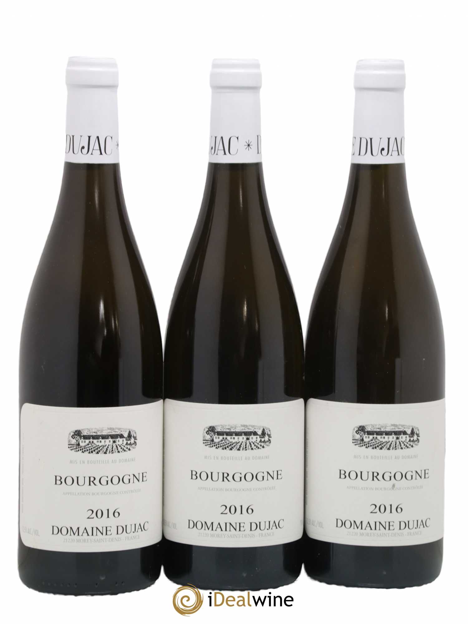 Bourgogne Dujac (Domaine) 2016 - Lot de 3 bouteilles - 0