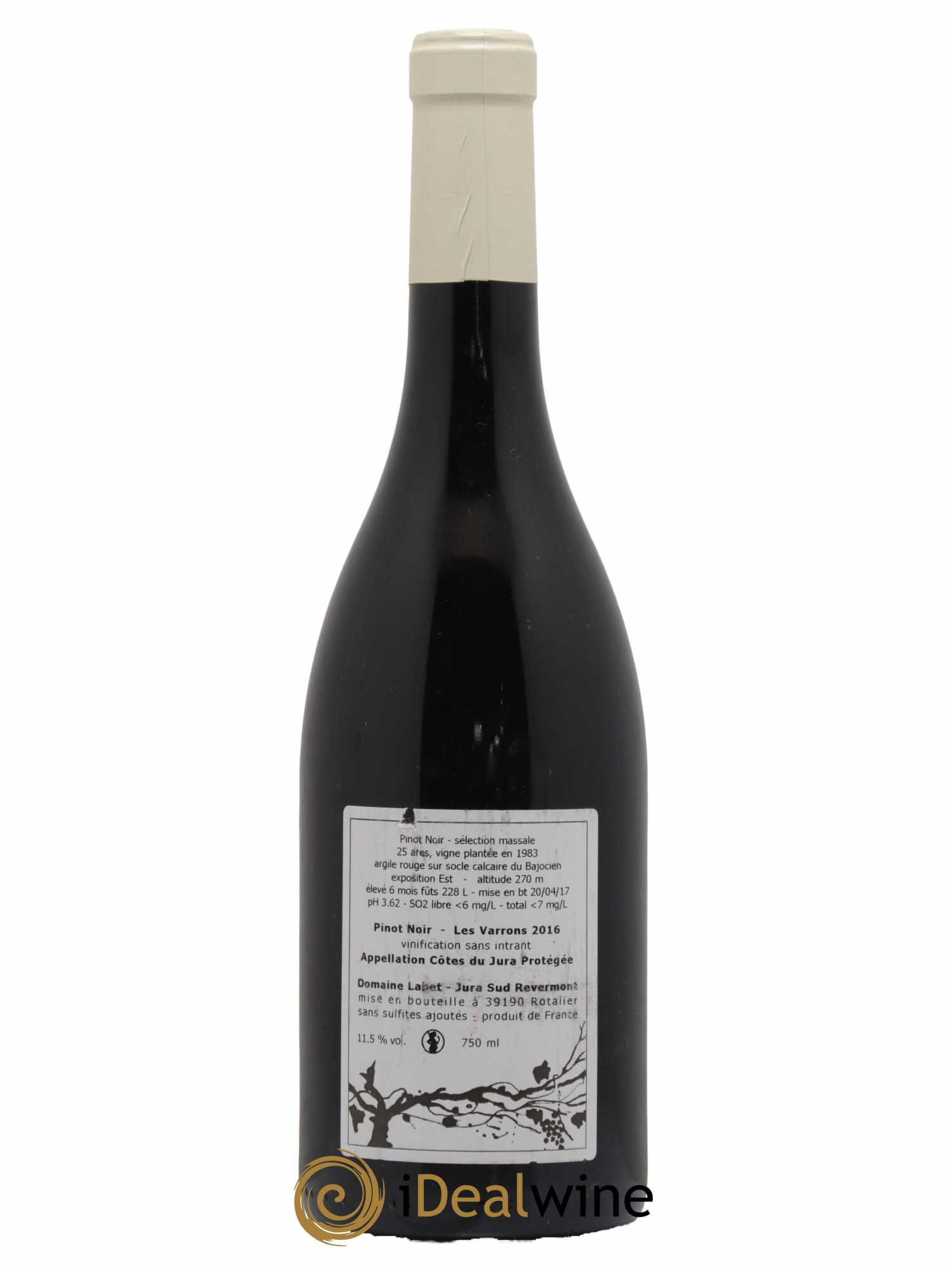 Côtes du Jura Pinot Noir Les Varrons Sélection Massale Romain - Julien - Charline Labet 2016 - Lot de 1 bouteille - 1