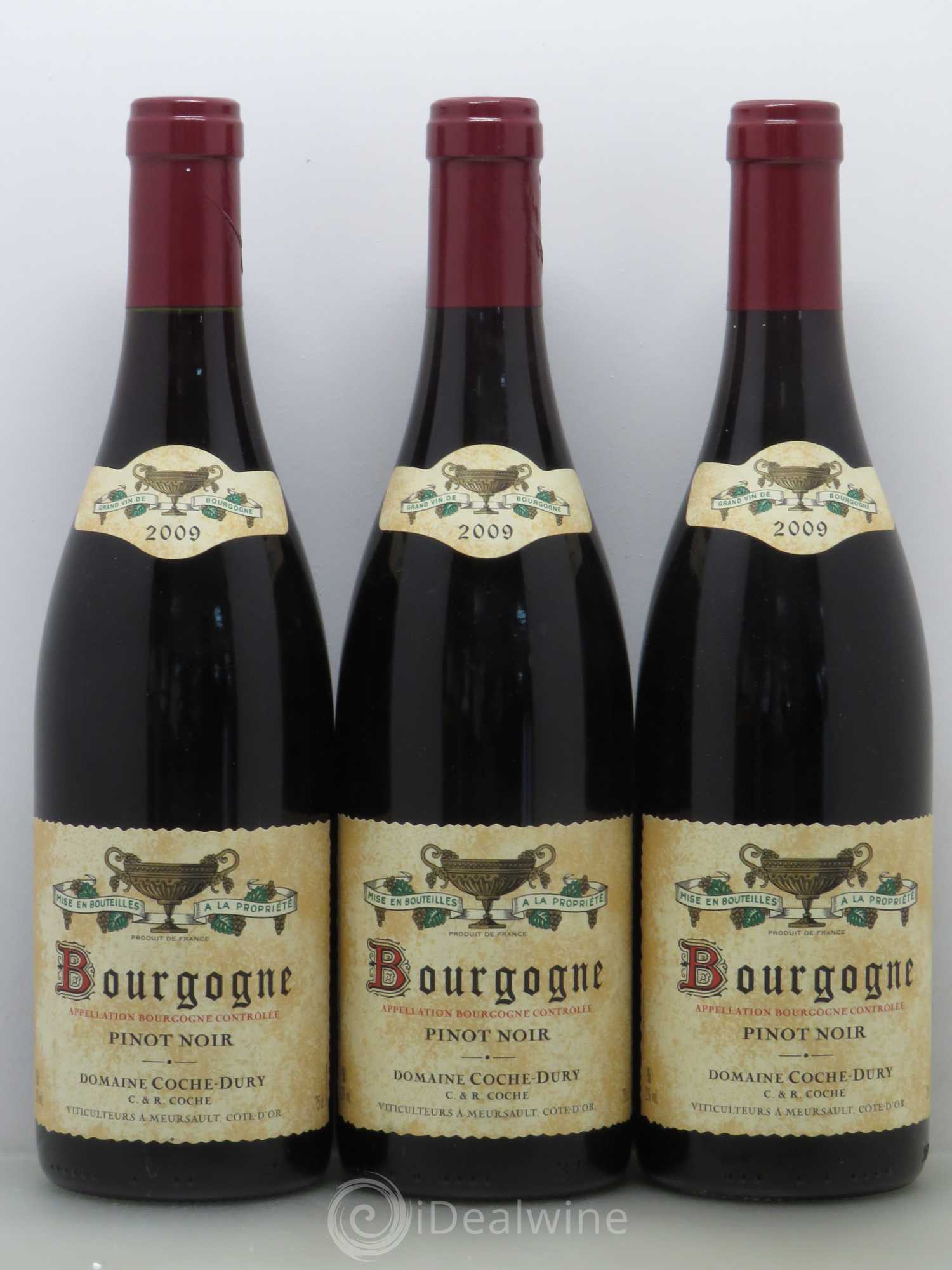 Bourgogne Coche Dury (Domaine) 2009 - Lot de 3 bouteilles - 0