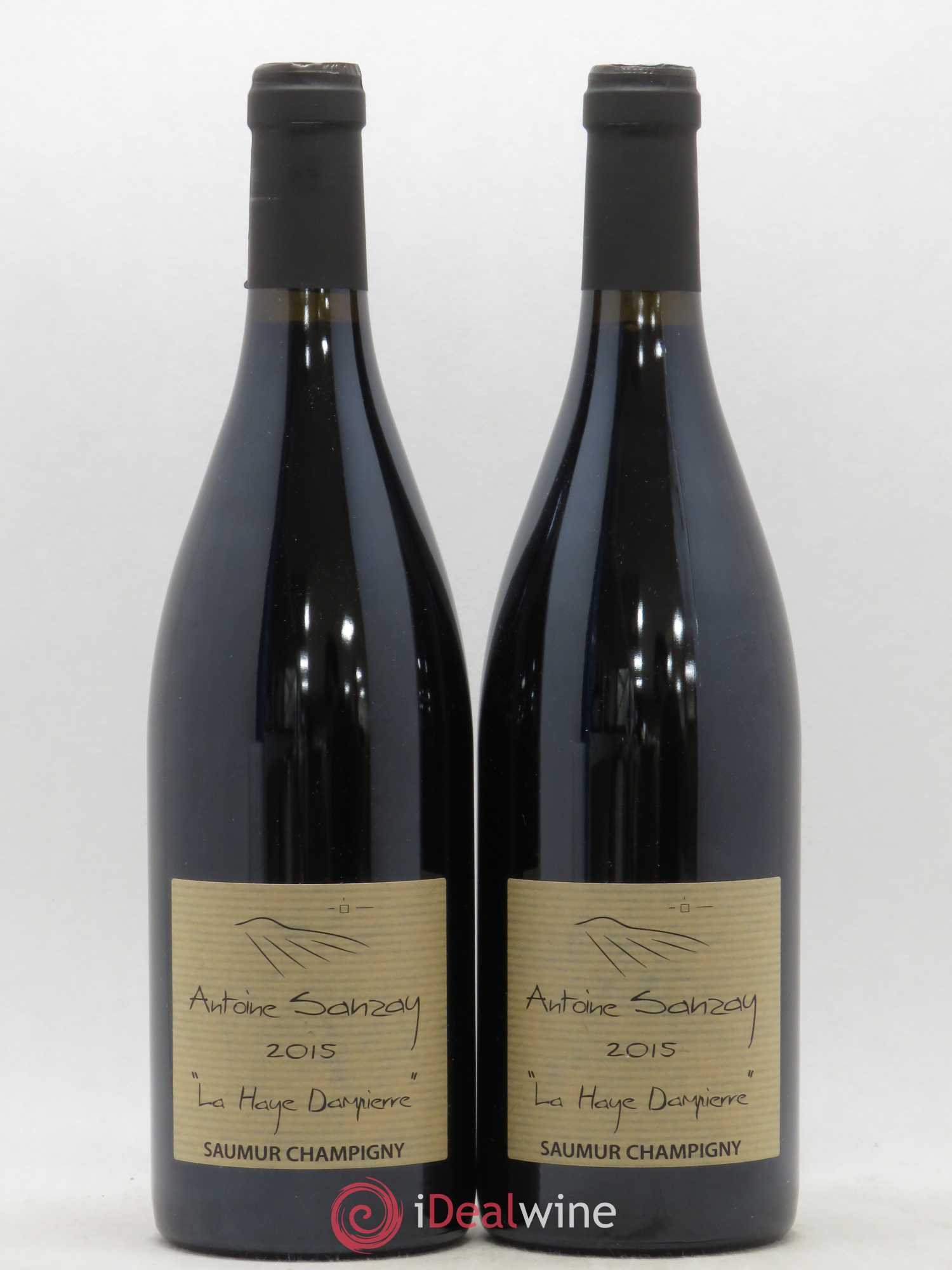 Saumur-Champigny La Haye Dampierre Antoine Sanzay 2015 - Lot de 2 bouteilles - 0