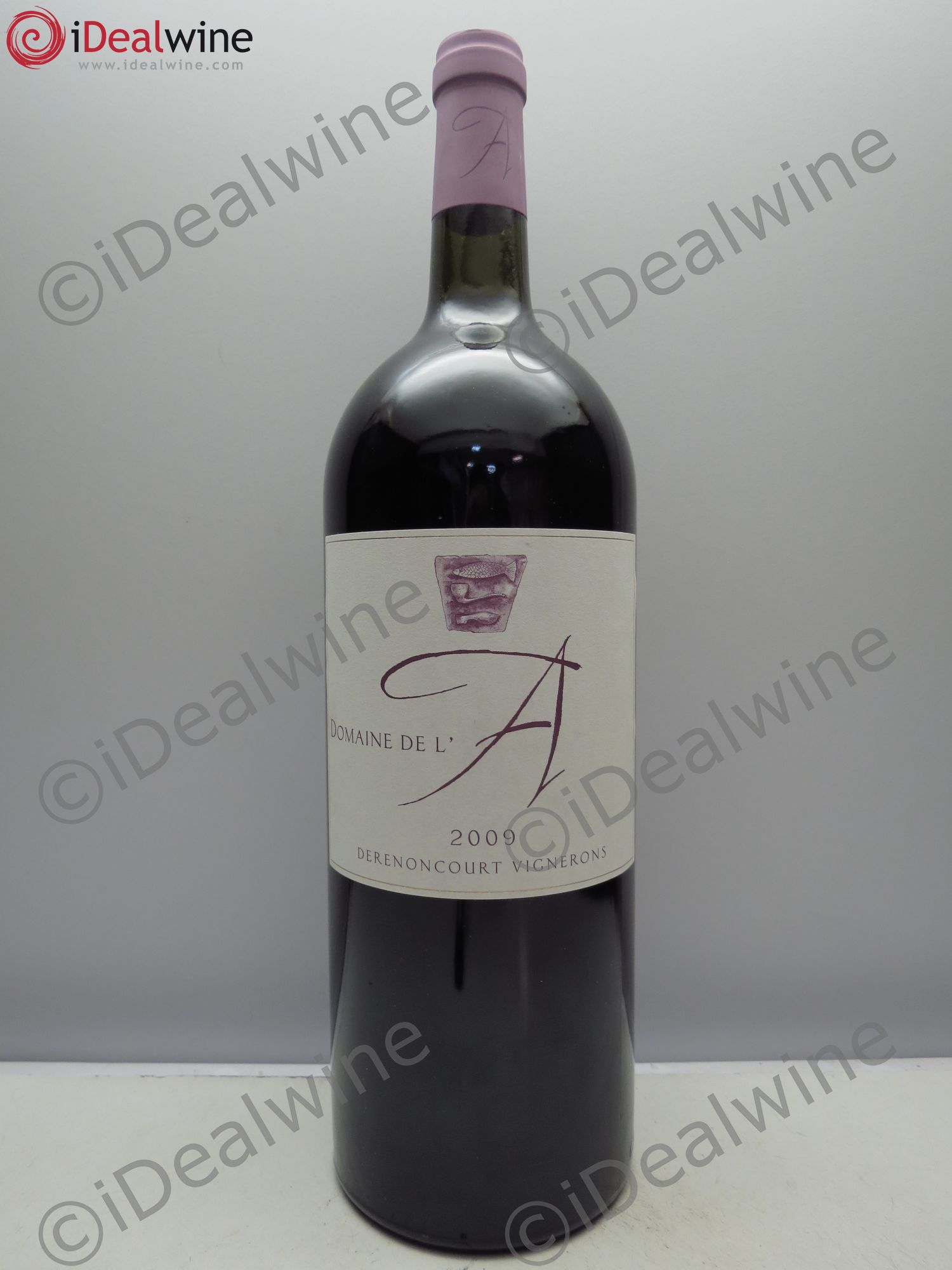 Domaine de l'A 2009 - Lot de 1 magnum - 0