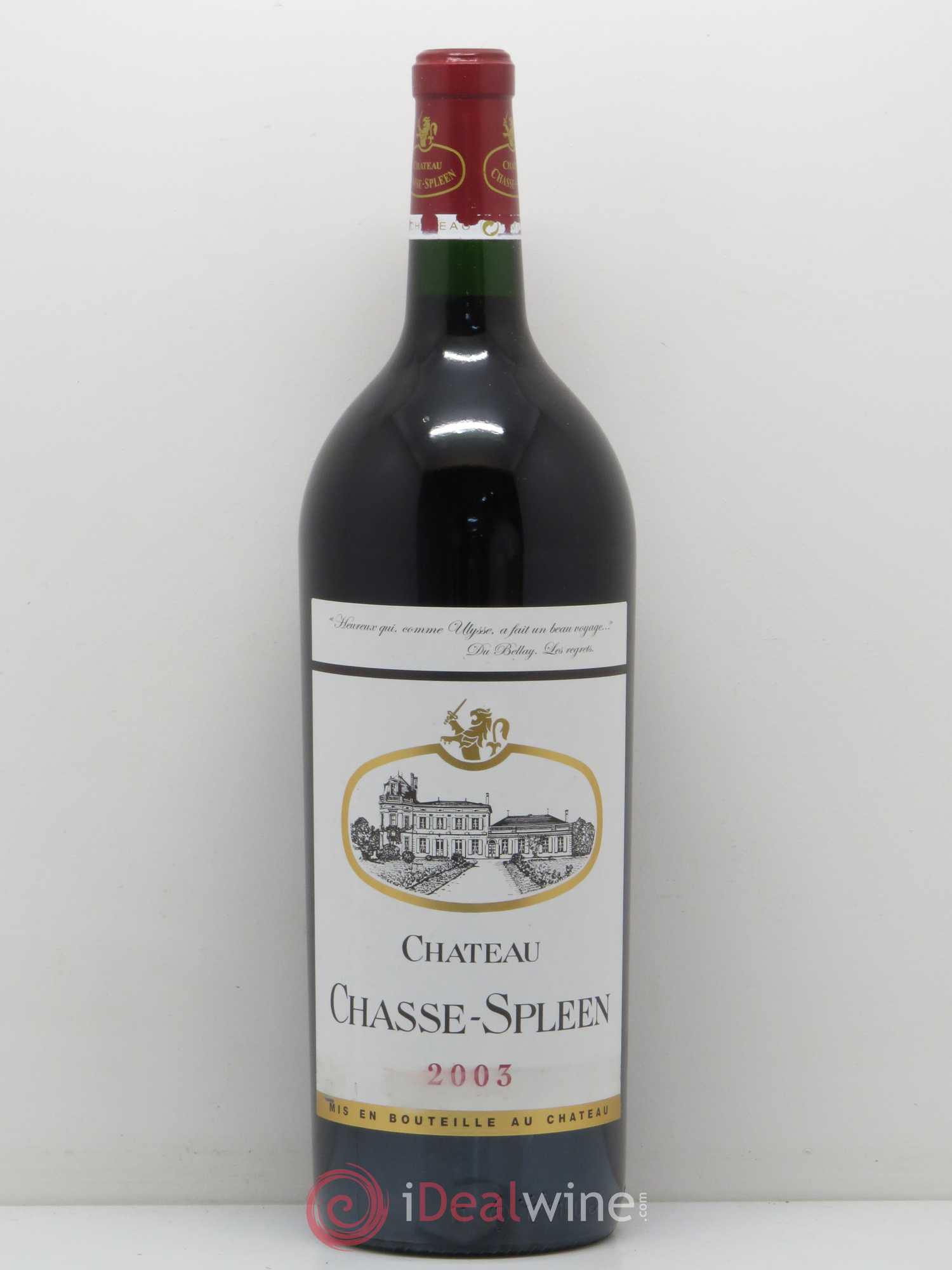 Château Chasse Spleen 2003 - Lot de 1 magnum - 0