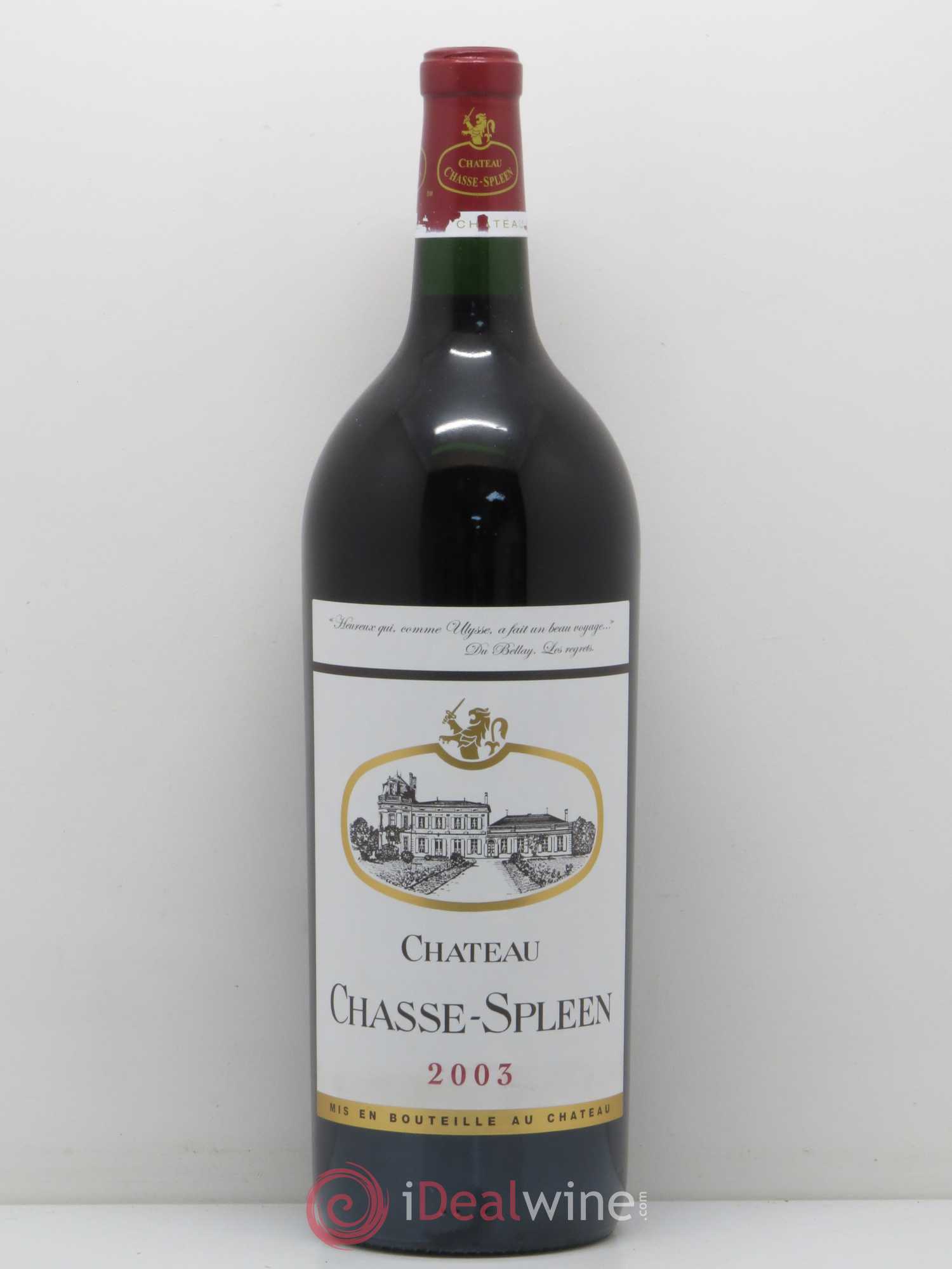 Château Chasse Spleen 2003 - Lot de 1 magnum - 0