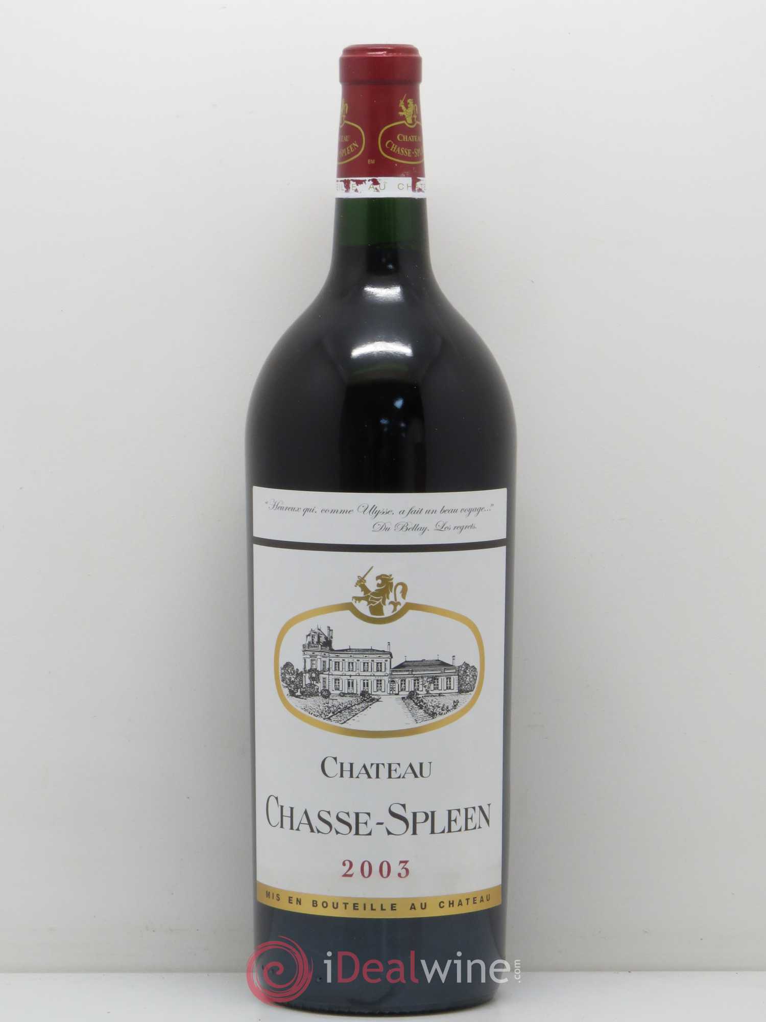 Château Chasse Spleen 2003 - Lot de 1 magnum - 0
