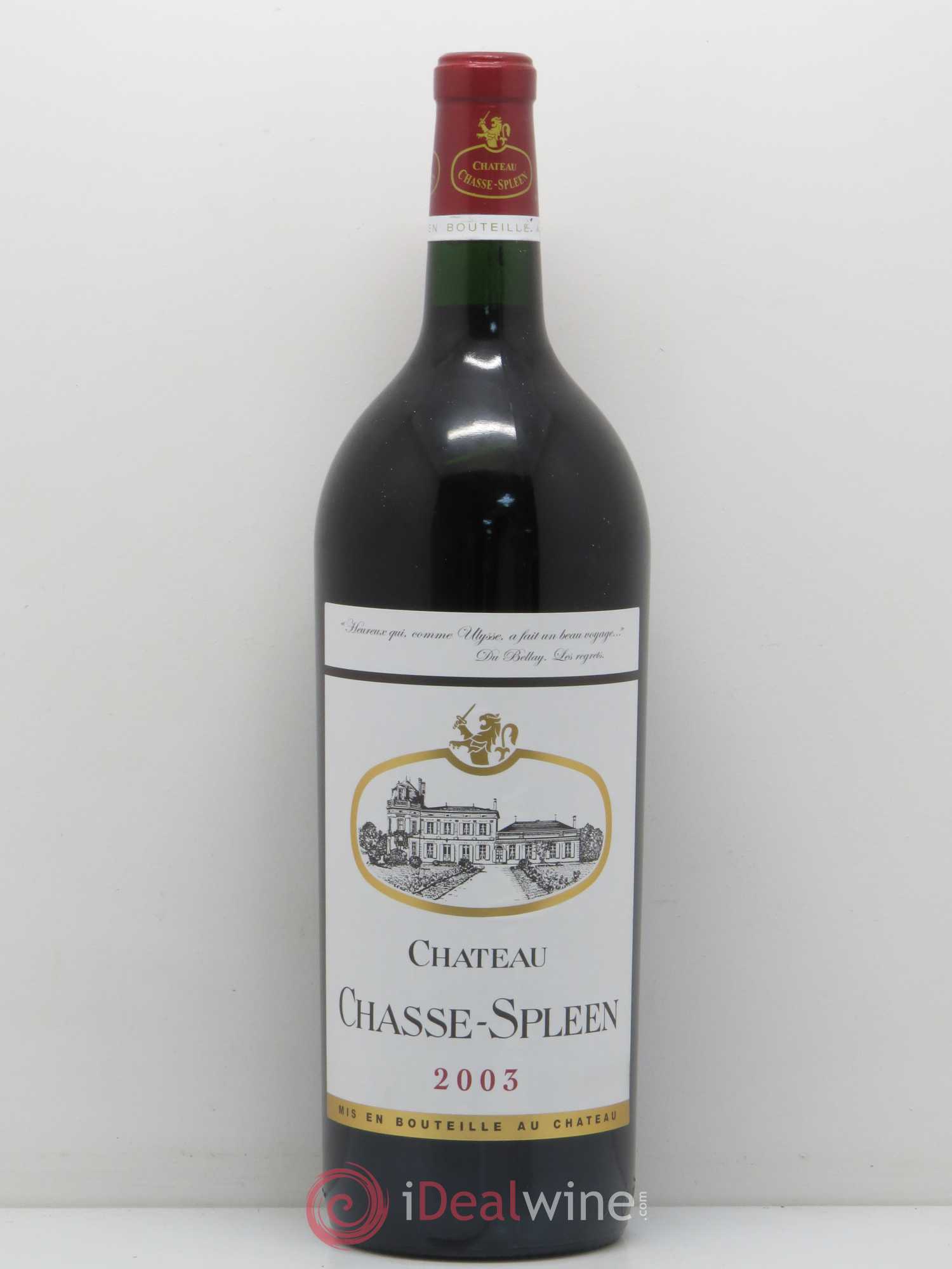 Château Chasse Spleen 2003 - Lot de 1 magnum - 0
