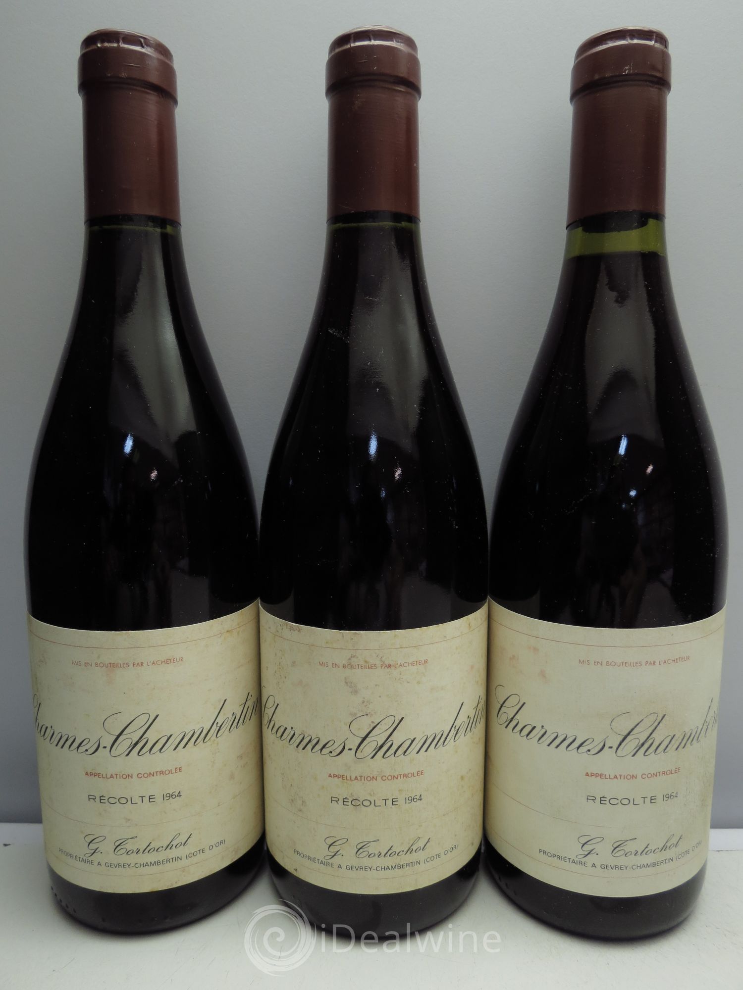 Charmes-Chambertin Grand Cru G.Tortochot 1964 - Lot de 3 bouteilles - 0